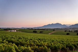 Le Riche; CWG Reserve Cabernet Sauvignon; 2023; 36 (6 x 6); 750ml