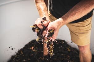 Van Loggerenberg Wines; CWG Auction Syrah; 2025; 12 (2 x 6); 750ml