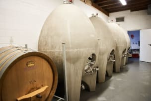 Savage Wines; Auction Syrah; 2024; 36 (6 x 6); 750ml