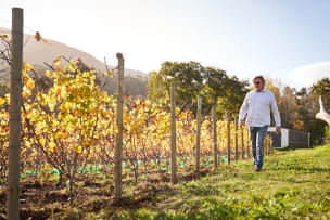 Bartho Eksteen Wine Estate; Vloekskoot Sauvignon Blanc - Op Hout; 2025; 12 (2 x 6); 750ml