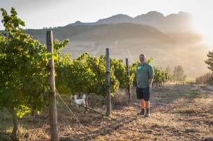 David Finlayson Wines; Sleepless Nights Grenache Noir; 2024; 36 (6 x 6); 750ml