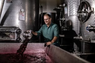 David Finlayson Wines; Sleepless Nights Grenache Noir; 2024; 36 (6 x 6); 750ml
