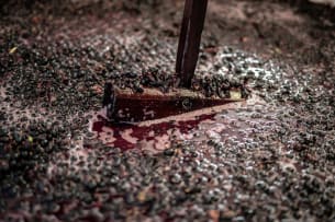 David Finlayson Wines; Sleepless Nights Grenache Noir; 2024; 36 (6 x 6); 750ml