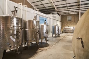 Erika Obermeyer Wines; Silver Linings; 2023; 12 (2 x 6); 750ml