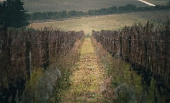 Storm Wines; Bokkeveld Shale Chardonnay; 2024; 12 (2 x 6); 750ml