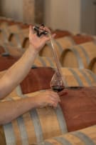 Kaapzicht Wine Estate; The Auction 1947 Chenin Blanc; 2025; 12 (2 x 6); 750ml