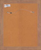 Jac de Villiers; Tillandsia Xerographica