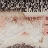 Johandi du Plessis; Viewing up Close, the South African Identity