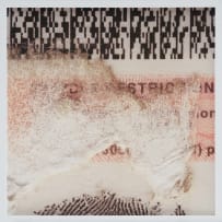 Johandi du Plessis; Viewing up Close, the South African Identity