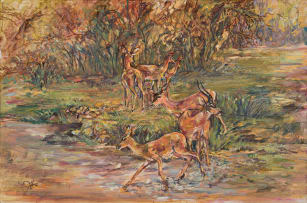 Zakkie Eloff; Springboks Besides A River