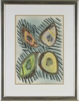 Christo Coetzee; Avocados