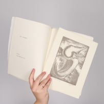 Phil du Plessis, Stephen Gray and Wilma Stockenström, et al (ed); Izwi / Voice / Stem, nineteen