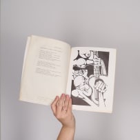 Phil du Plessis, Stephen Gray and Wilma Stockenström, et al (ed); Izwi / Voice / Stem, nineteen