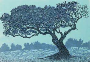 Conrad Botes; Olyfboom (Olive Tree)
