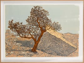 Conrad Botes; Scourced Waboom