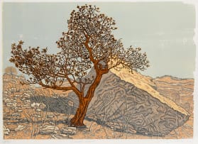Conrad Botes; Scourced Waboom