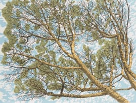 Anton Kannemeyer; Under the Pine Trees