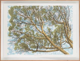 Anton Kannemeyer; Under the Pine Trees