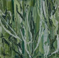 Gabrielle Kruger; Camouflage