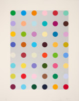 Damien Hirst; Lepidine