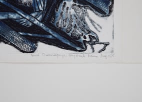 Bruce Obomeyoma Onobrakpeya; Oyo Weavers