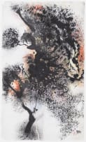 Yony Waite; Sunset Tree