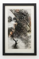 Yony Waite; Sunset Tree