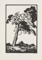 Johan Stegmann; Rooivlagboom (Red Flag Tree)