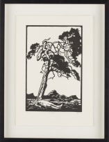 Johan Stegmann; Rooivlagboom (Red Flag Tree)