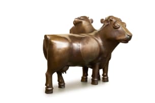 Joachim Schönfeldt; Three-Headed Cow