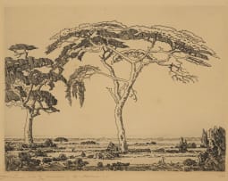 Jacob Hendrik Pierneef; Kameeldoring Springbokvlakte N.T. (Camel Thorn, Springbok Flats)