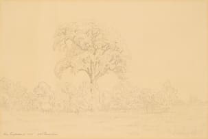Jacob Hendrik Pierneef; By Leydsdorp
