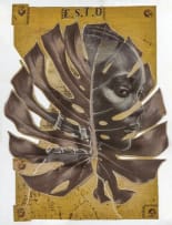 Justin Dingwall; Adrift