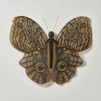 Walter Oltmann; Caligo