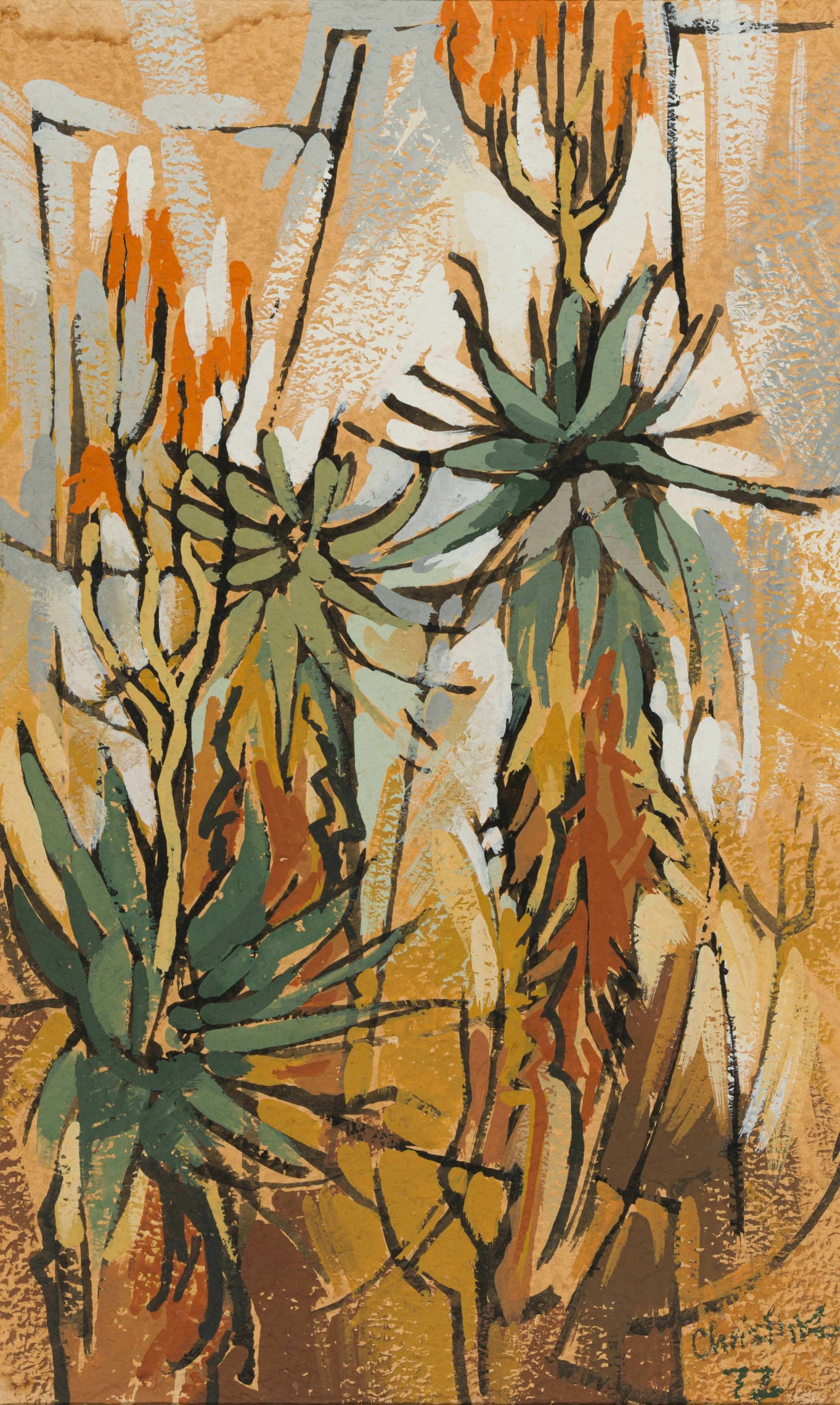 Aloes by Christine Marais | Strauss & Co