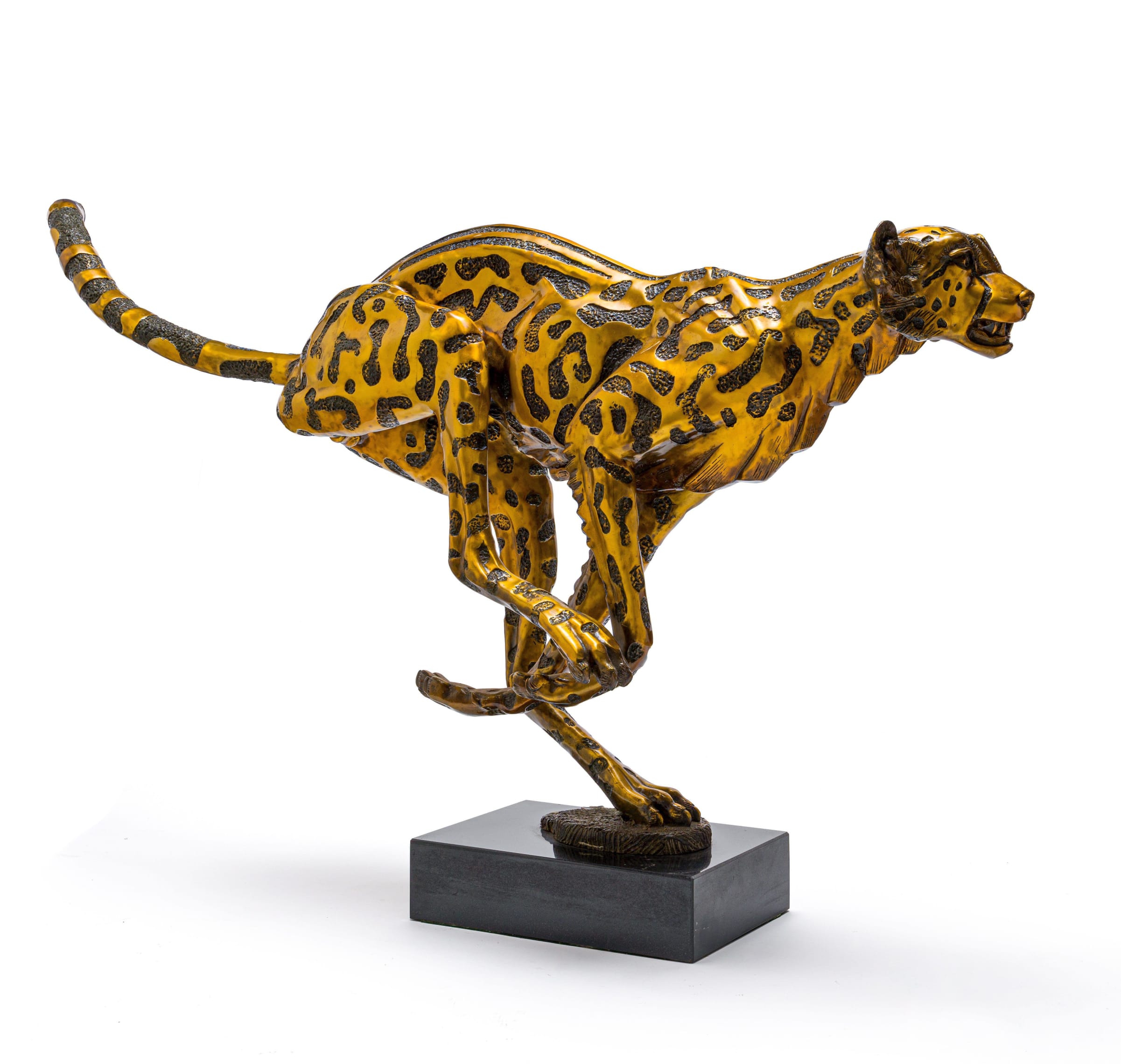 Running Cheetah II by Danie de Jager