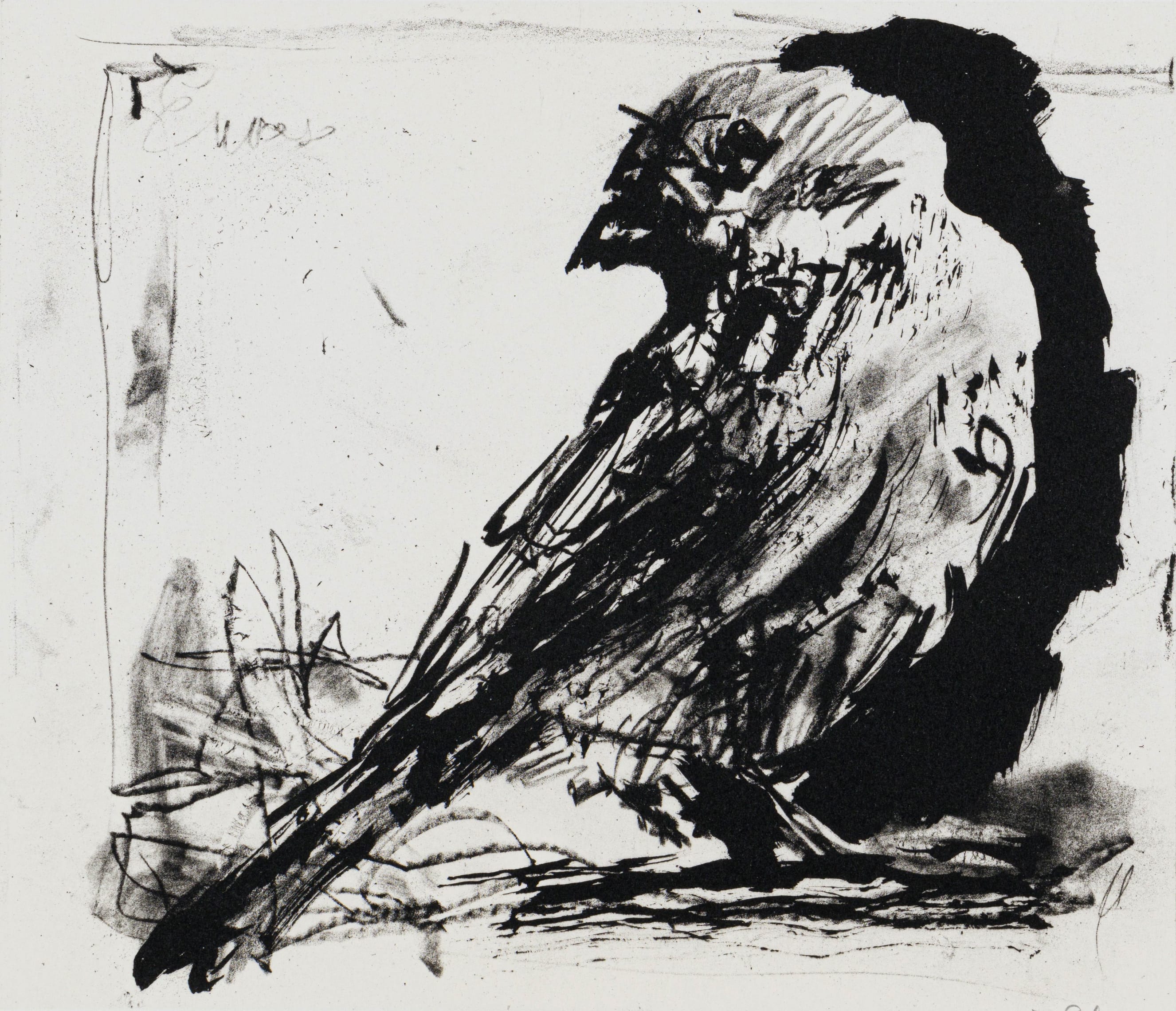 bird-series-four-by-william-kentridge-strauss-co