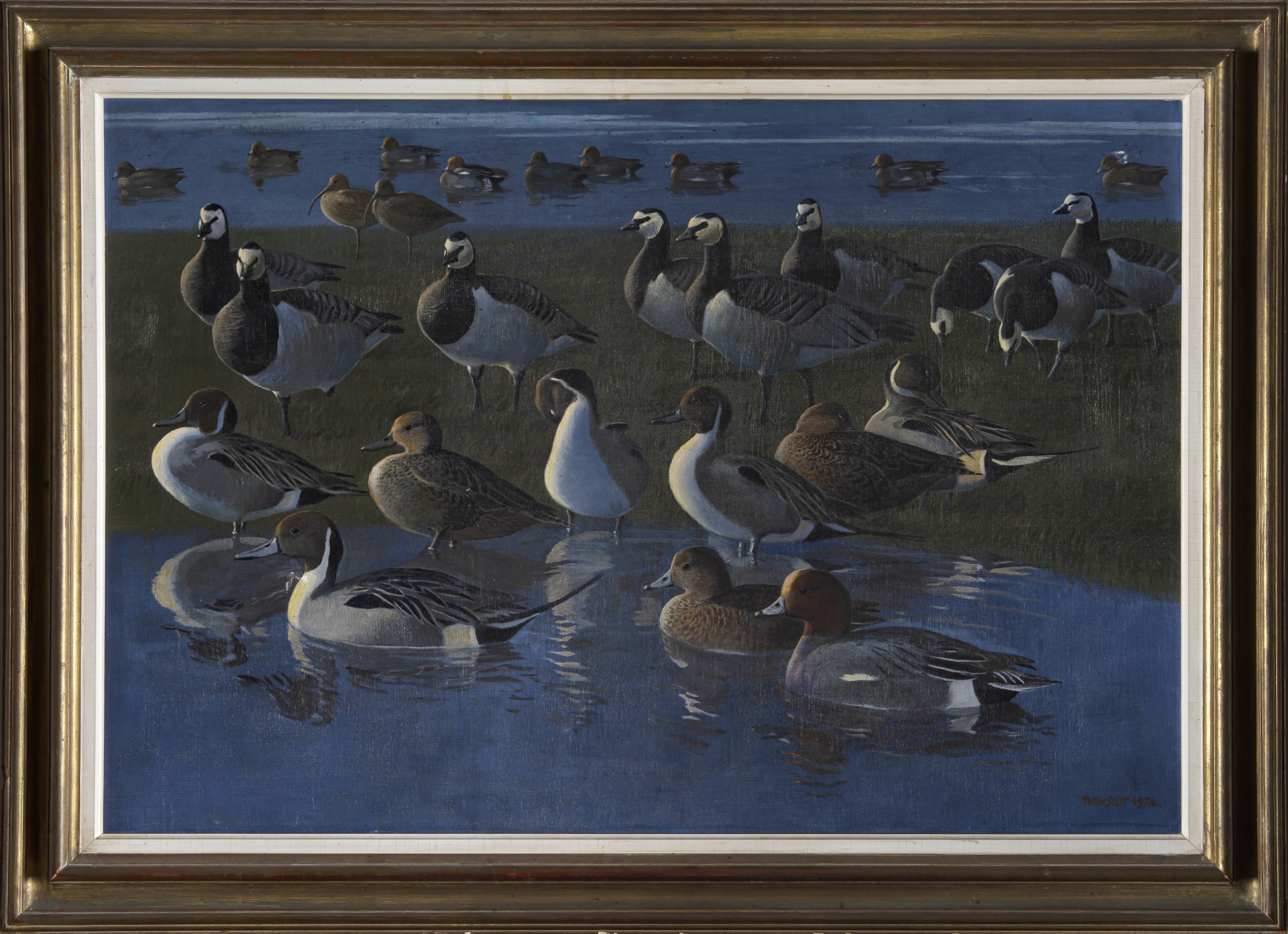 wildfowl-by-sir-peter-markham-scott-strauss-co